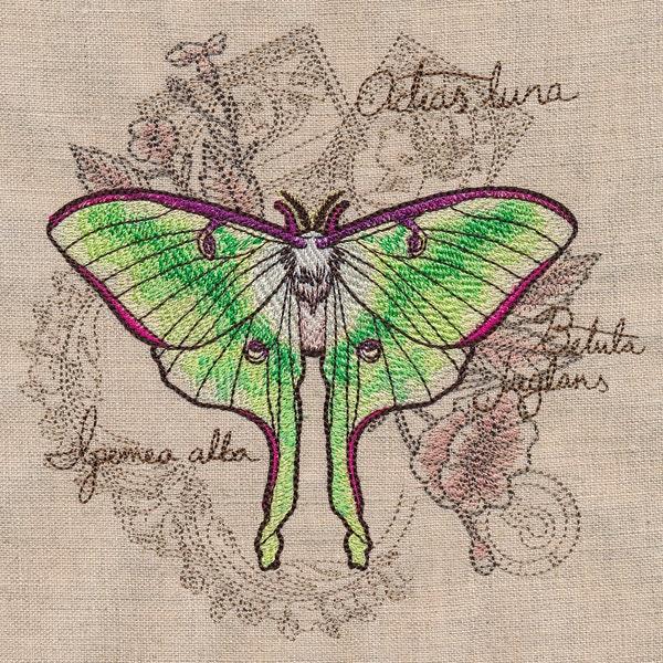 Luna Moth Collage Embroidered Canvas Messenger Bag