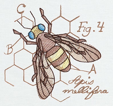 Miniature Menagerie Honeybee Diagram Embroidered Canvas Messenger Bag