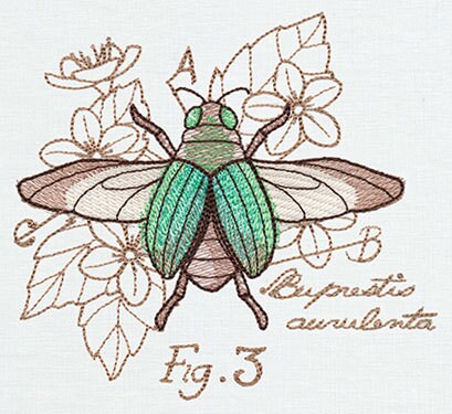 Miniature Menagerie Beetle Diagram Embroidered Canvas Field Bag