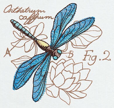 Miniature Menagerie Dragonfly Diagram Embroidered Canvas Messenger Bag