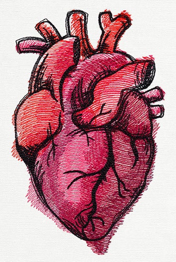 Painted Anatomical Heart Embroidered Canvas Field Bag