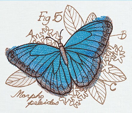 Miniature Menagerie Butterfly Diagram Embroidered Canvas Field Bag