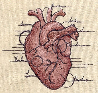 Anatomical Heart Embroidered Canvas Messenger Bag