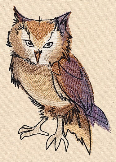 Painted Owl Embroidered Canvas Messenger Bag